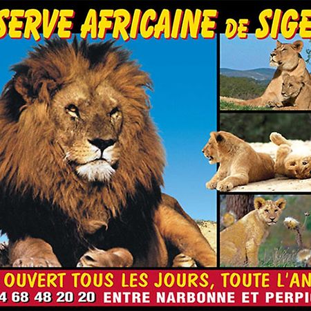 Le Mieukerien - Reserve Africaine 15 Mn, Plage 200M, Terrasse 포르트라누벨 외부 사진